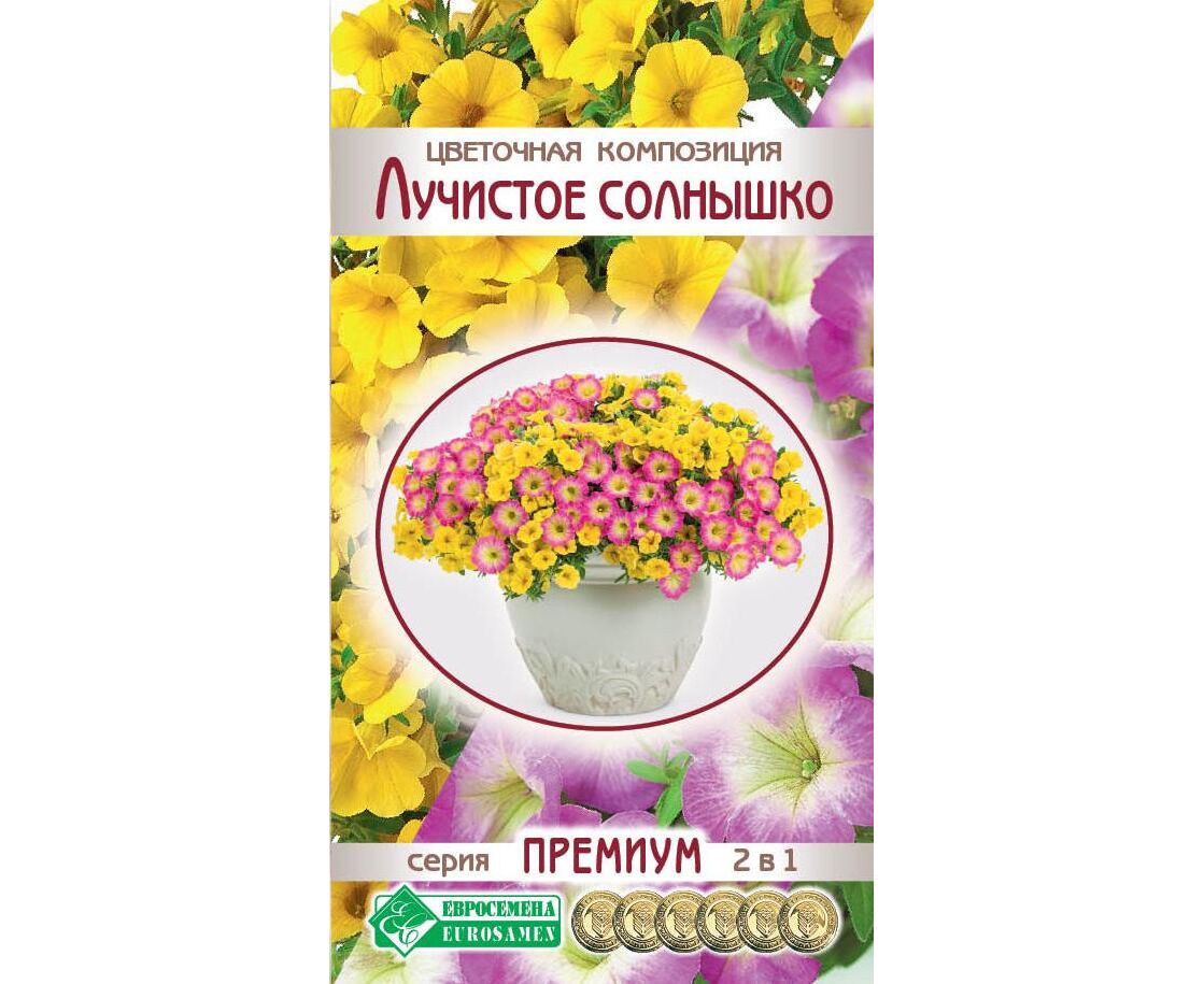 

Цветочная композиция Лучистое солнышко, Лучистое солнышко
