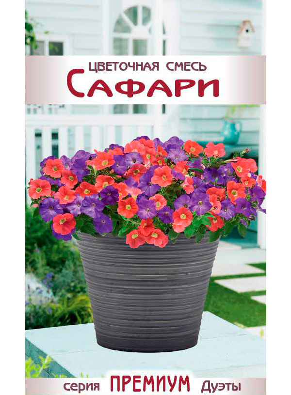 

Семена смесь цветов Евросемена Сафари 17555 1 уп., Сафари