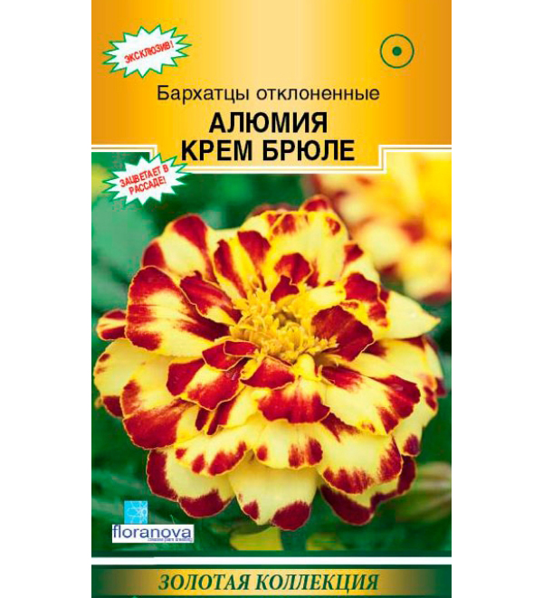 

Семена бархатцы Евросемена Алюмия крем брюле 17789 1 уп., Алюмия