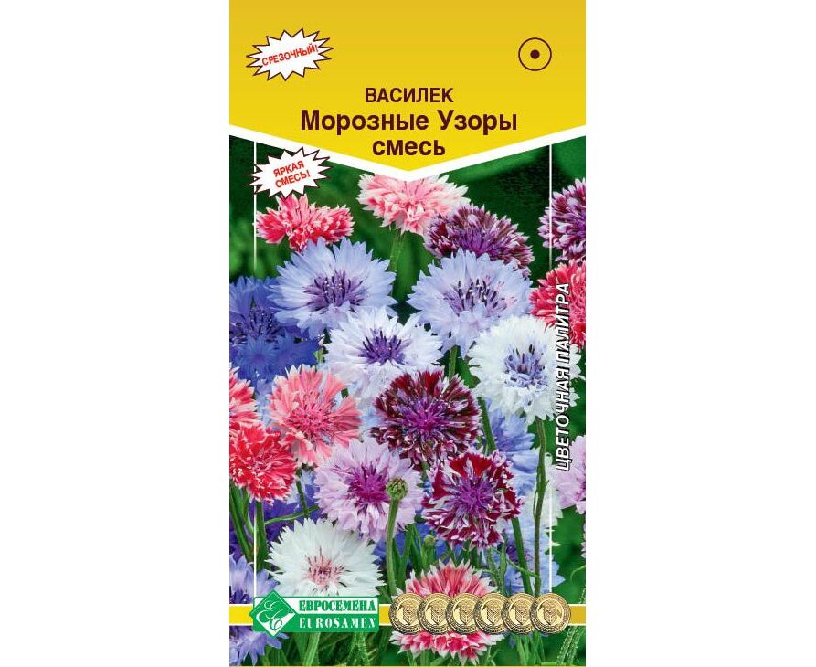 

Семена василек Евросемена Морозные узоры 17790 1 уп., Морозные узоры