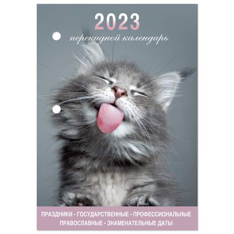 

Календарь настольный перекидной 2023 год Staff 114291 10 штук