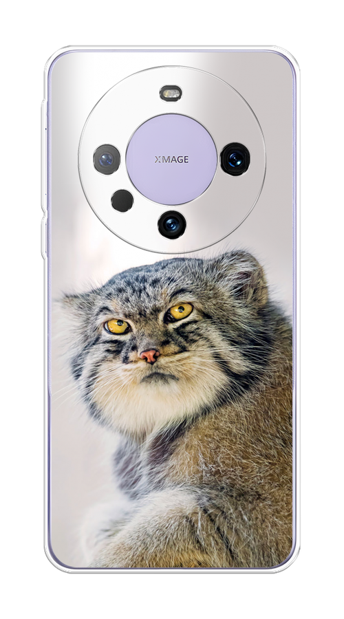 

Чехол на Huawei Mate 60 Pro "Кот манул 1", Серый;белый;желтый, 6122250-1