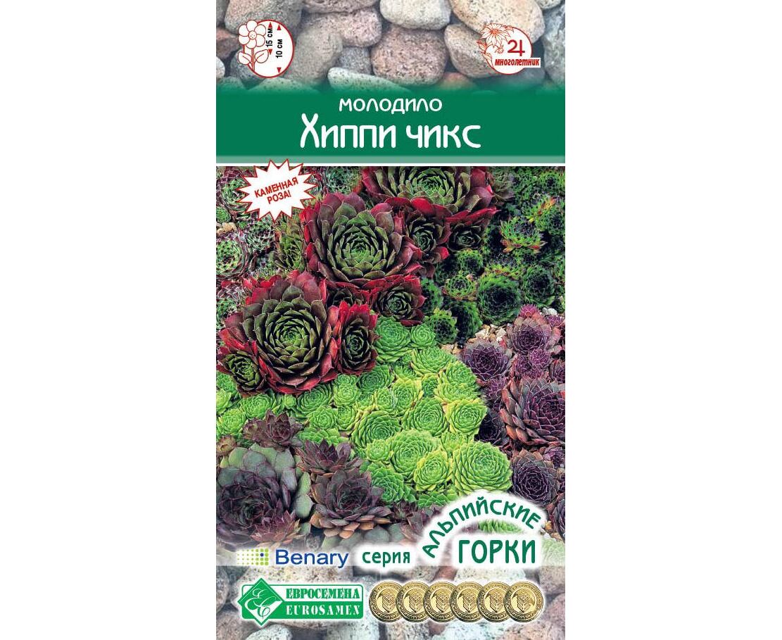 

Семена молодило Евросемена Хиппи чикс 17825 1 уп., Хиппи чикс