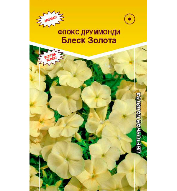 

Семена флокс Евросемена Блеск золота 17854 1 уп., Блеск золота
