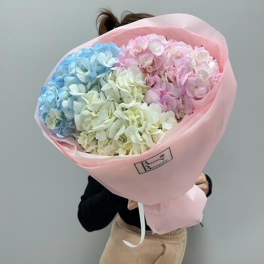 

Монобукет Boom Bouquet гортензия 3 шт 45см разноцветный