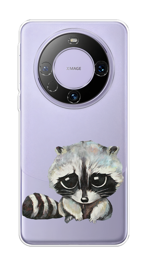 

Чехол на Huawei Mate 60 Pro "Большеглазый енот", Серый;черный;прозрачный, 6122250-1