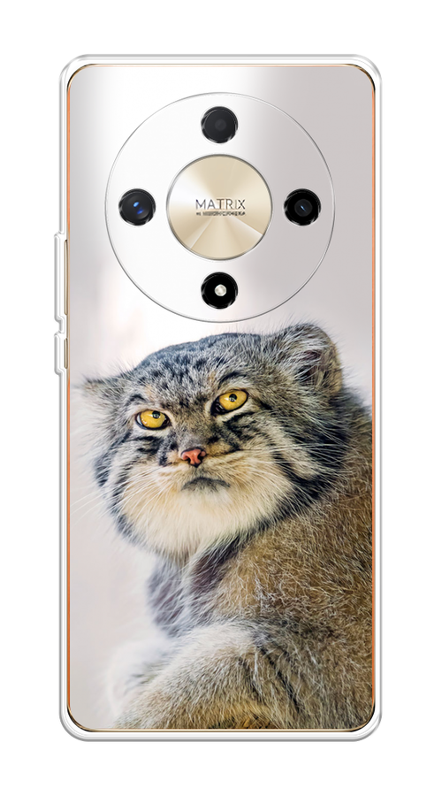 

Чехол на Honor X9B "Кот манул 1", Серый;белый;желтый, 6122550-1