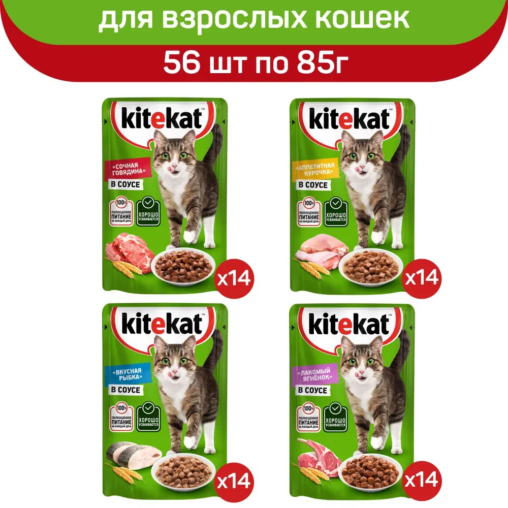 

Влажный корм для кошек KiteKat, говядина, курица, рыба, ягненок, в соусе, 56 шт по 85 г