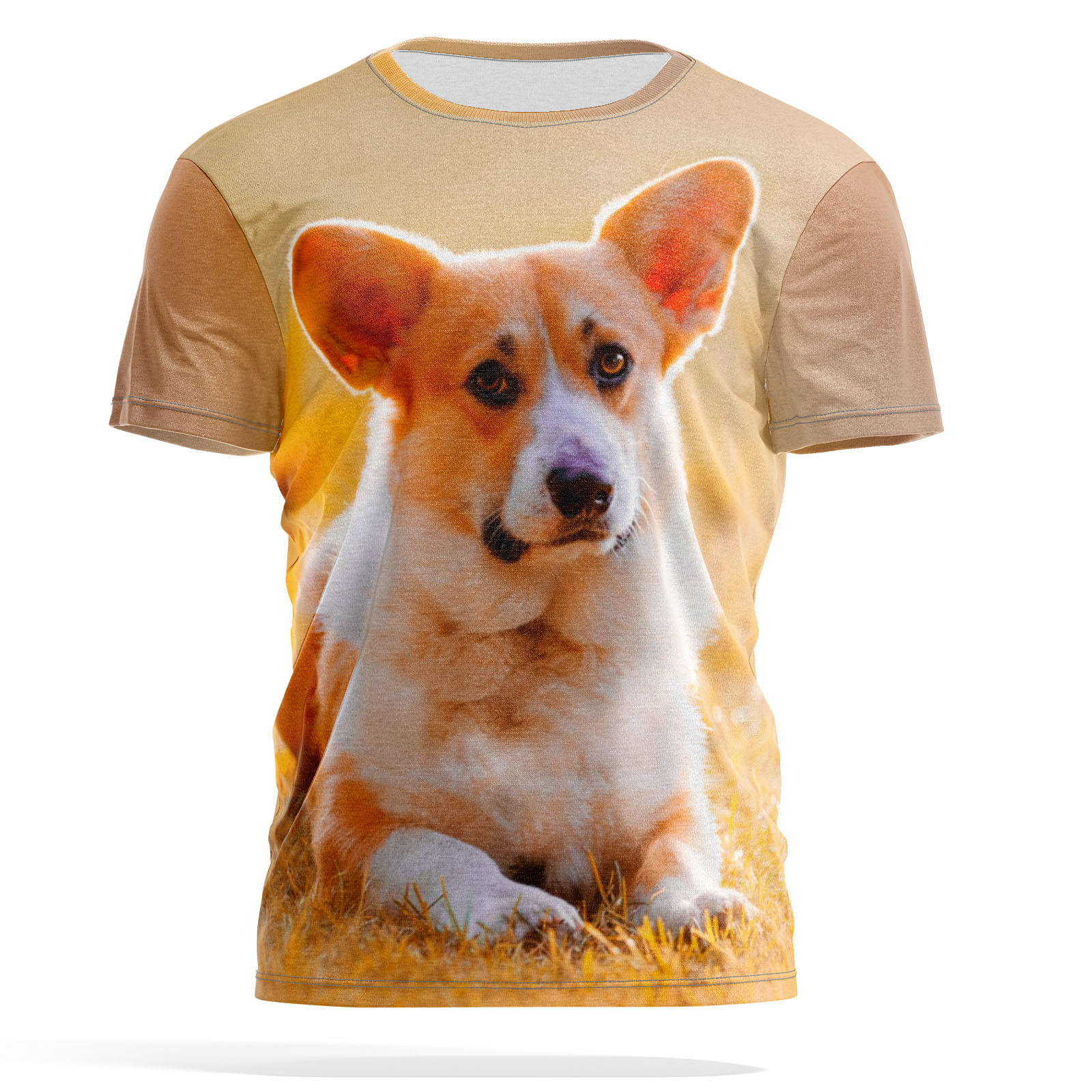 

Футболка мужская PANiN PaninManTshirt_VM1262299 оранжевая L, Оранжевый, PaninManTshirt_VM1262299