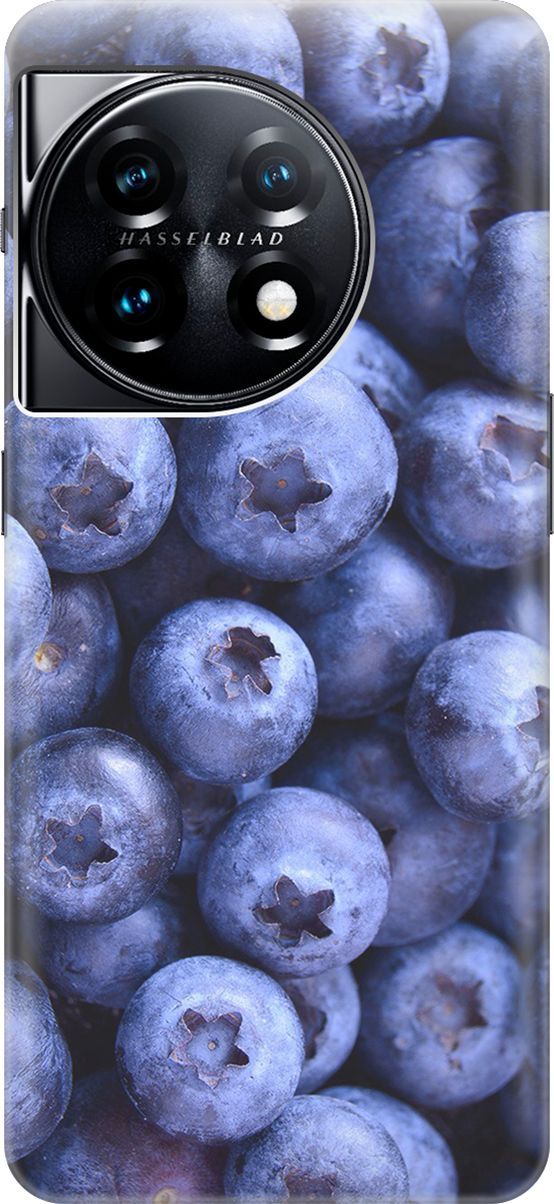 

Силиконовый чехол на OnePlus 11 с принтом "Ягодки", Синий;фиолетовый, 159469