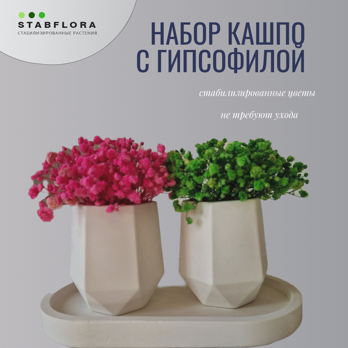 Цветы Stabflora