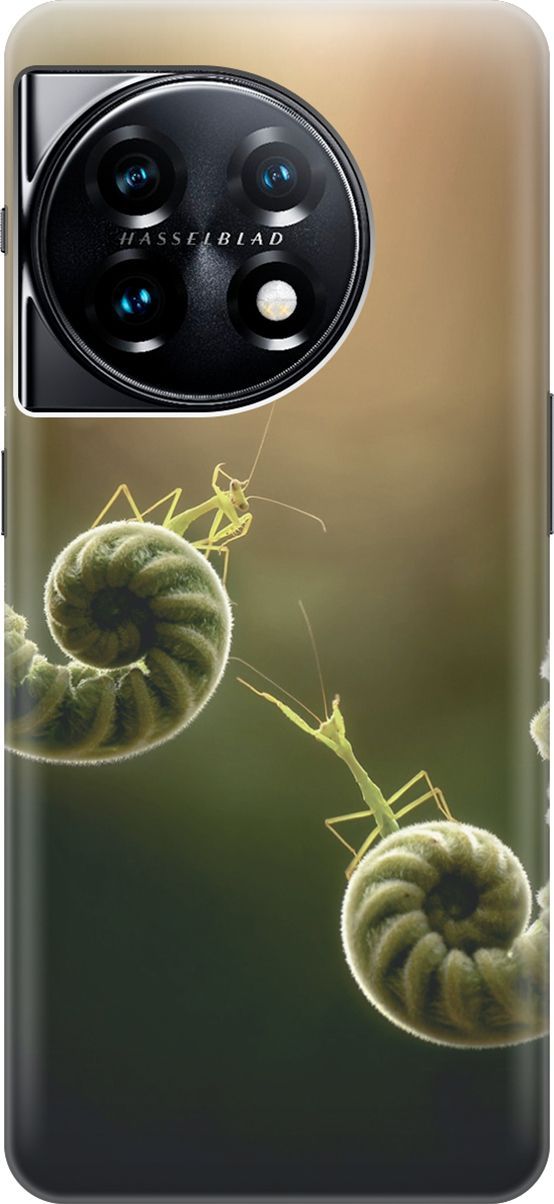 

Силиконовый чехол на OnePlus 11 с принтом "Пара богомолов", Бежевый;зеленый, 159473