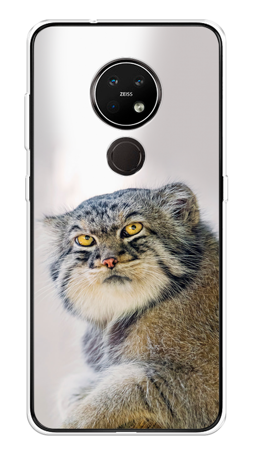 

Чехол на Nokia 6.2/7.2 "Кот манул 1", Серый;белый;желтый, 123150-1