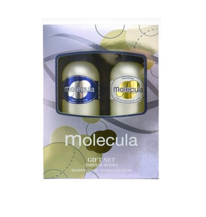 Подарочный наборFestiva Molecula женский шампунь 250 мл и гель для душа 250 мл