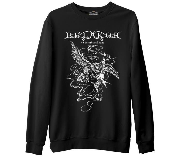 

Свитшот мужской Lord Tshirt SK-1804 черный S (доставка из-за рубежа), SK-1804