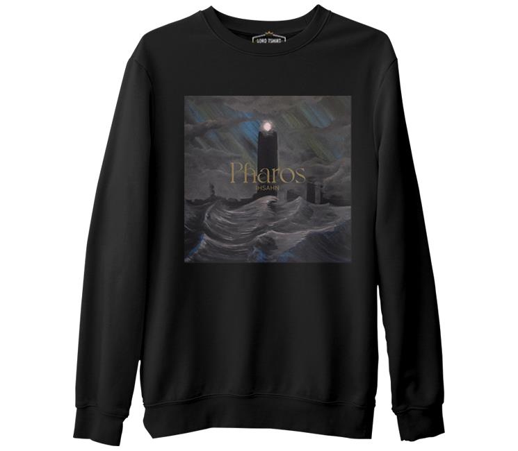 

Свитшот мужской Lord Tshirt SK-1817 черный S (доставка из-за рубежа), SK-1817