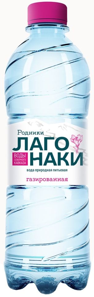 

Вода питьевая природная Родники Лаго-Наки газированная 500 мл