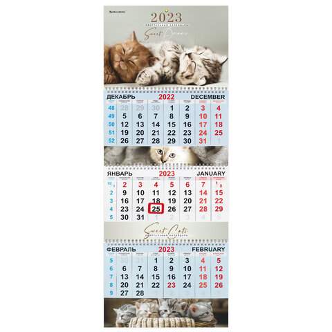 

Календарь квартальный 2023 год Brauberg 114248 3 штуки