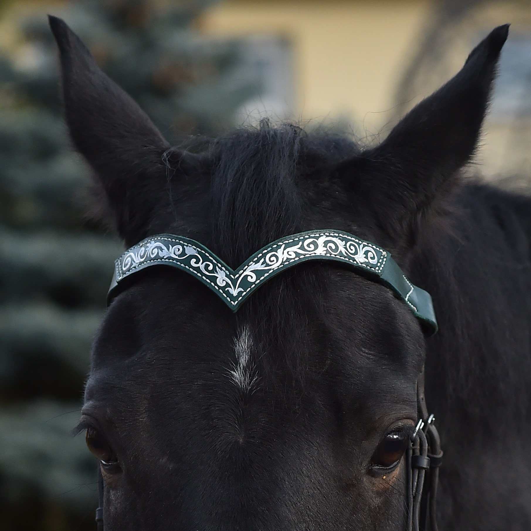 

Налобник кожаный с росписью темно - зеленый Mini Horse, Я11100