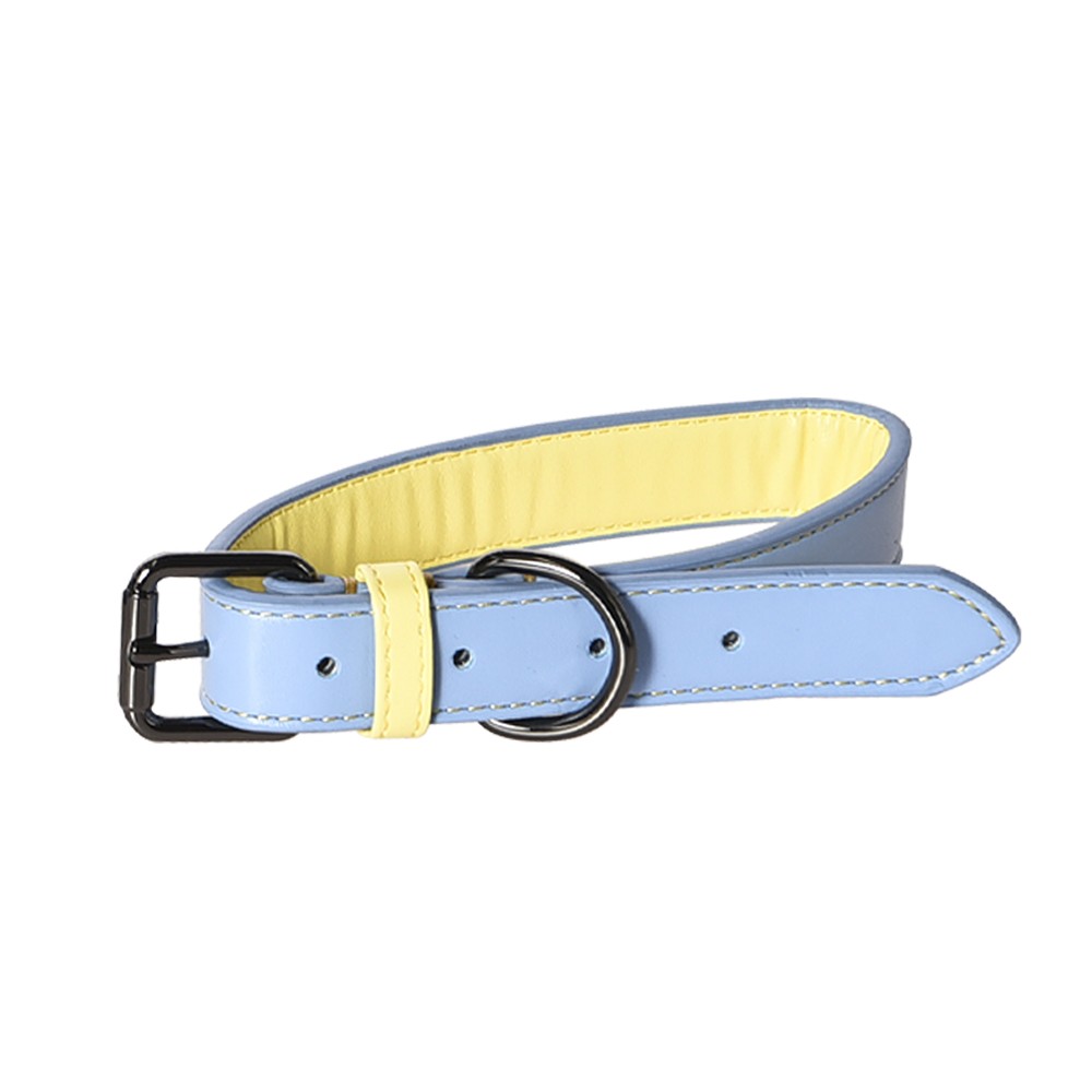 

Ошейник для собак FOXIE Loving голубой, полиуретан, размер, M 1.9x27-35 см