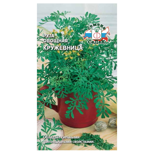 

Семена Рута овощная Кружевница Седек 64993 0,1 гр
