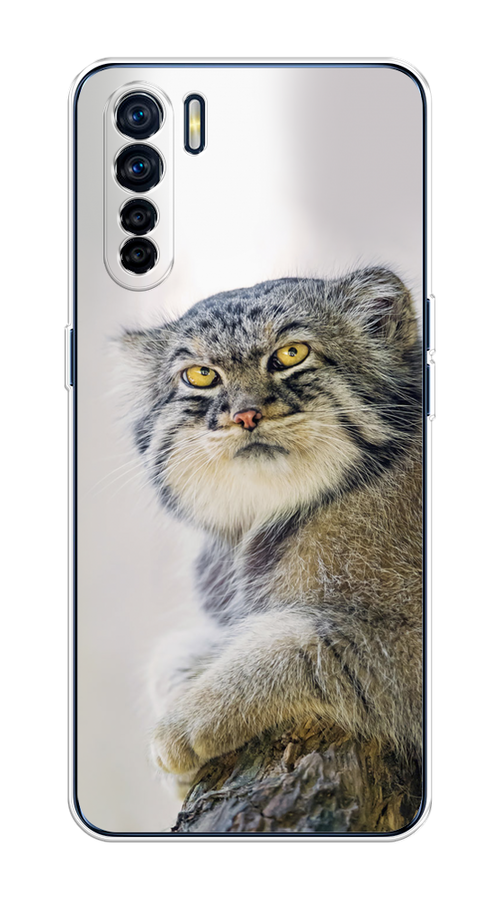 

Чехол на Oppo A91/Reno 3 "Кот манул 1", Серый;белый;желтый, 252450-1