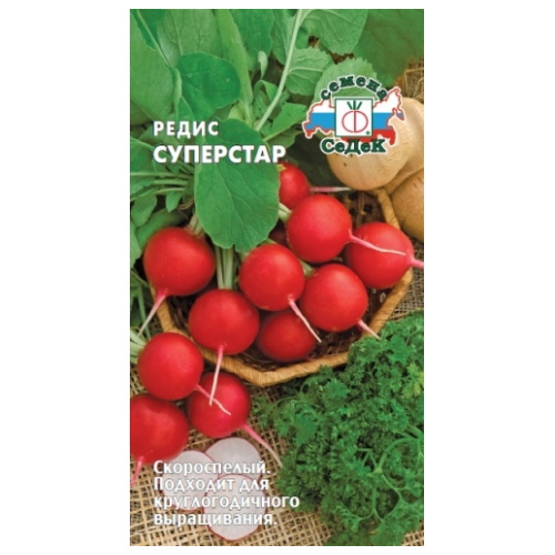 

Семена редис Суперстар СеДеК 65009