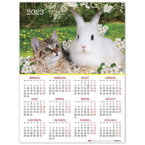 

Календарь настенный листовой 2023 год Hatber 114658 30 штук