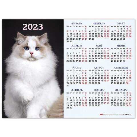 

Календарь настенный листовой 2023 год Hatber 114666 30 штук