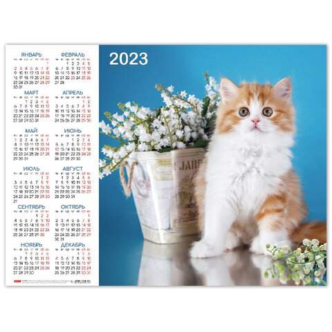 

Календарь настенный листовой 2023 год Hatber 114670 30 штук
