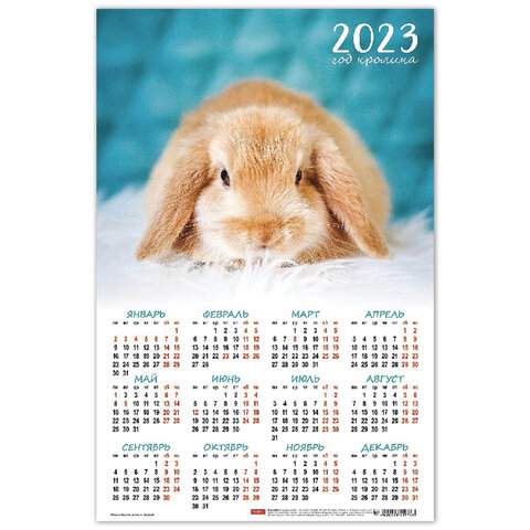 

Календарь настенный листовой 2023 год Hatber 114673 40 штук