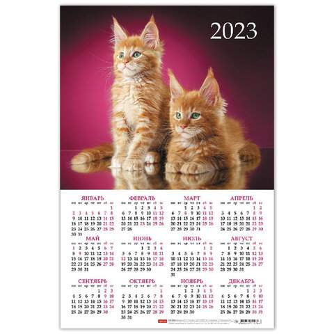 

Календарь настенный листовой 2023 год Hatber 114674 40 штук