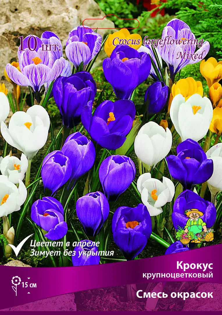 

Луковицы крокус Смесь Окрасок SSS-82661105 10 шт.