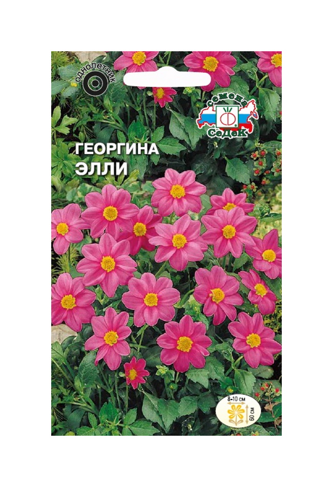 

Семена Георгина Элли Седек 65270 0,2 гр