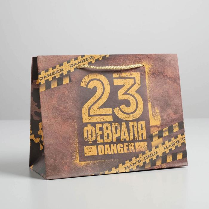 

Пакет крафтовый горизонтальный «Danger», MS 23 × 18 × 10 см, Подарочная упаковка 23 февраля