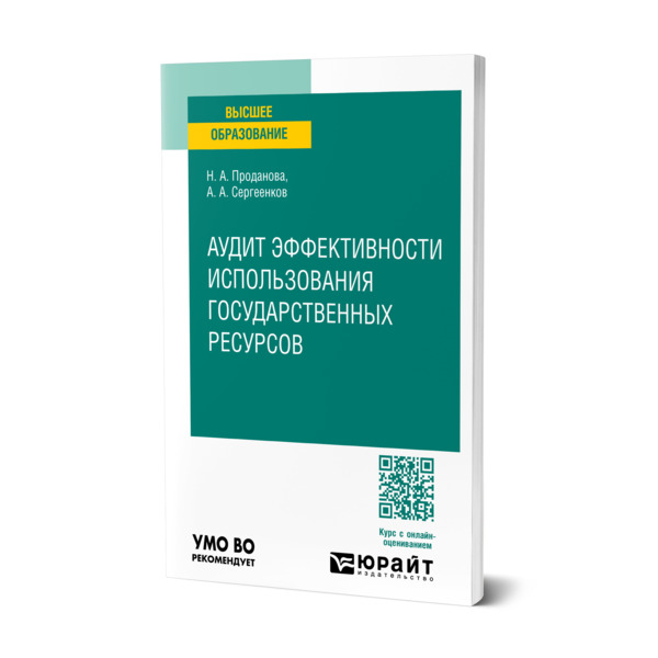 

Аудит эффективности использования государственных ресурсов
