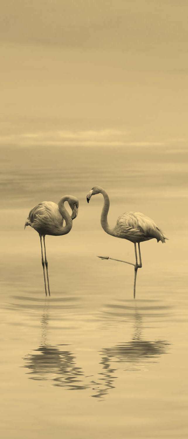 

Самоклеющиеся фотообои "Фламинго", 90x210 см, эффект сепия, отраженный