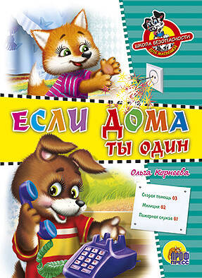 

Школа безопасности. Если дома ты один