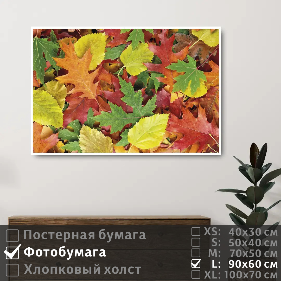

Постер на фотобумаге ПолиЦентр Осенние красочные листья 90х60 см, ОсенниеКрасочныеЛистья