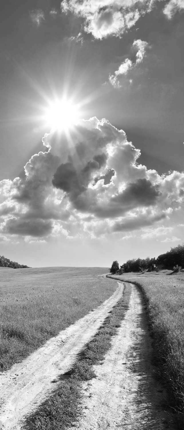 фото Самоклеющиеся фотообои "дорога в поле", 90x210 см, эффект черно-белый фотообои.рф