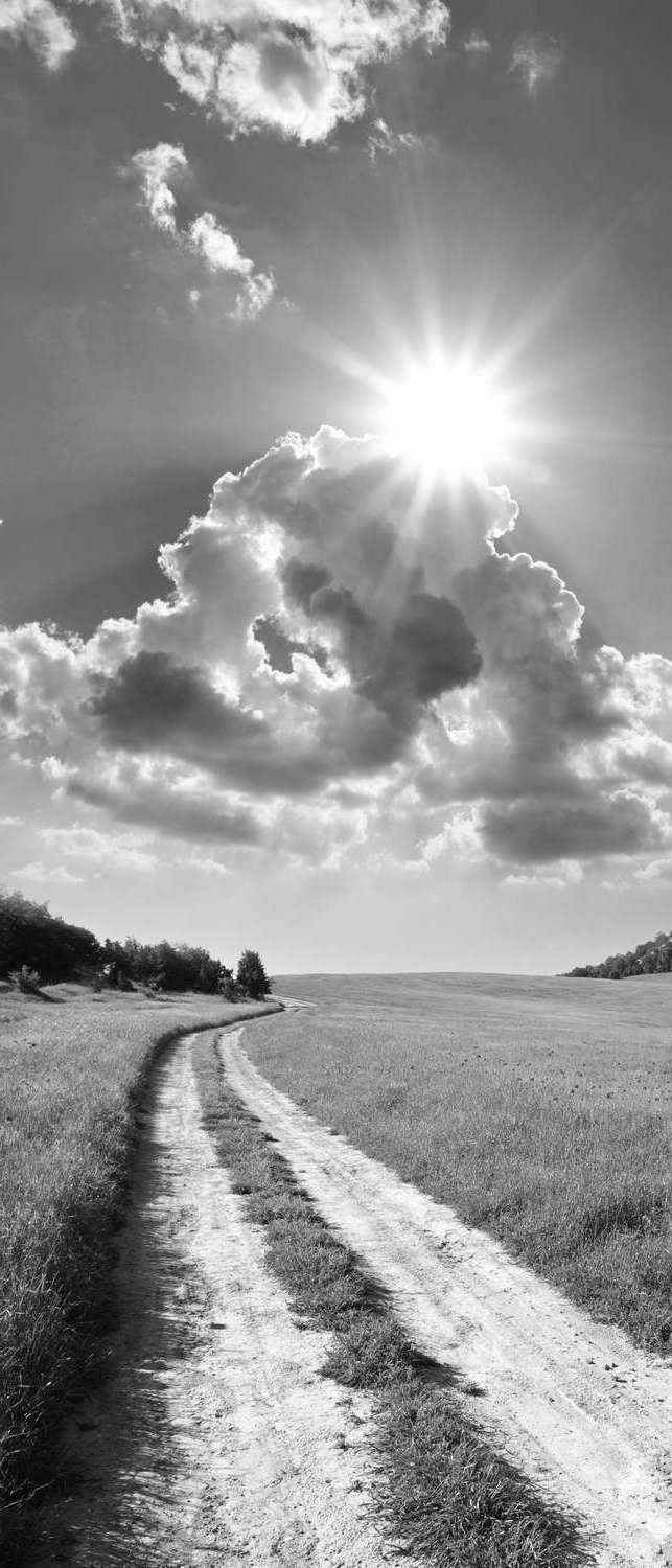фото Самоклеющиеся фотообои "дорога в поле", 90x210 см, эффект черно-белый, отраженный фотообои.рф