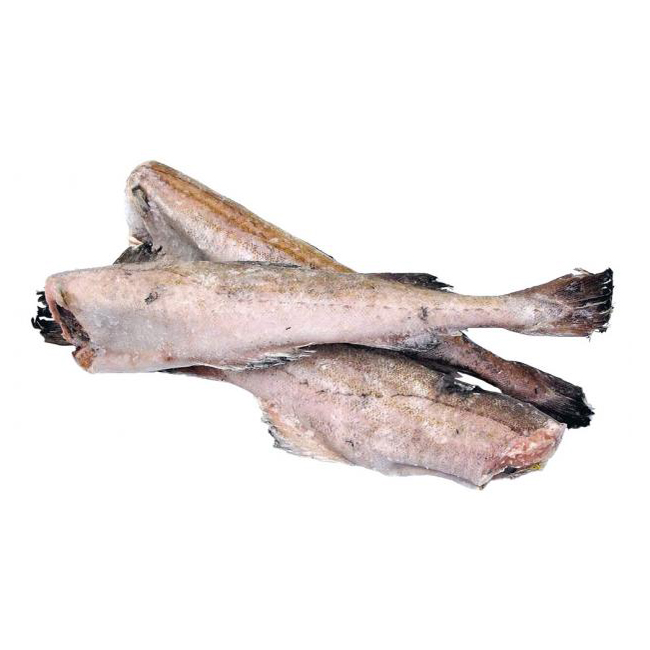 Минтай фото рыбы с головой живой