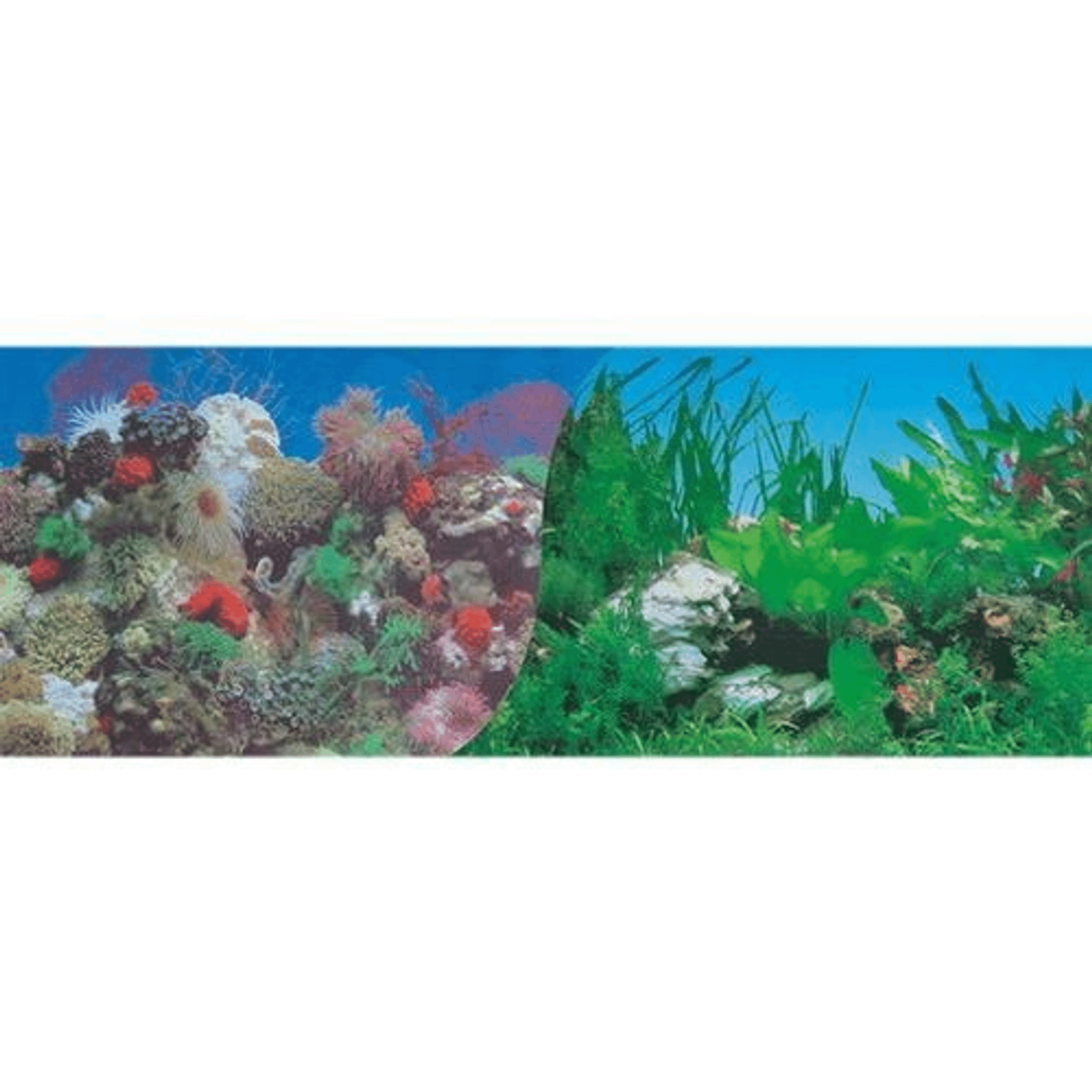 Фон для аквариума Hagen Кораллы с белым камнем, двухсторонний, 30 см
