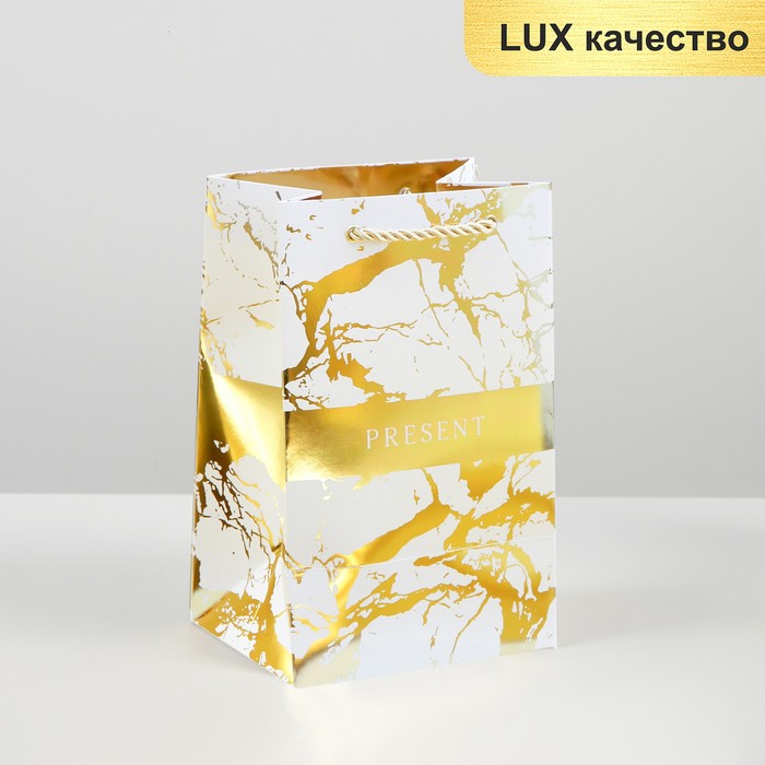 

Пакет ламинированный «Present», 15 × 23 × 11,5 см, Коллекция упаковки LUX качества