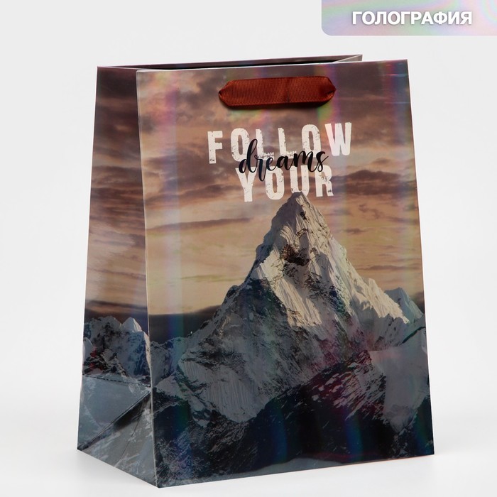 

Пакет ламинированный «Гора», радужная голография, MS 18 х 23 х 10 см, Коллекция упаковки "Путешествия"