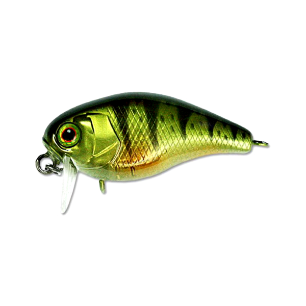 

Воблер Jackall CHUBBY 41F SSR # Ghost G Perch, Зеленый;черный;золотистый, CHUBBY