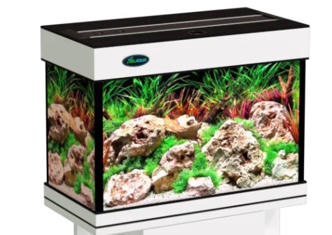 

Аквариум Zelaqua 40л (500х250х400) белый