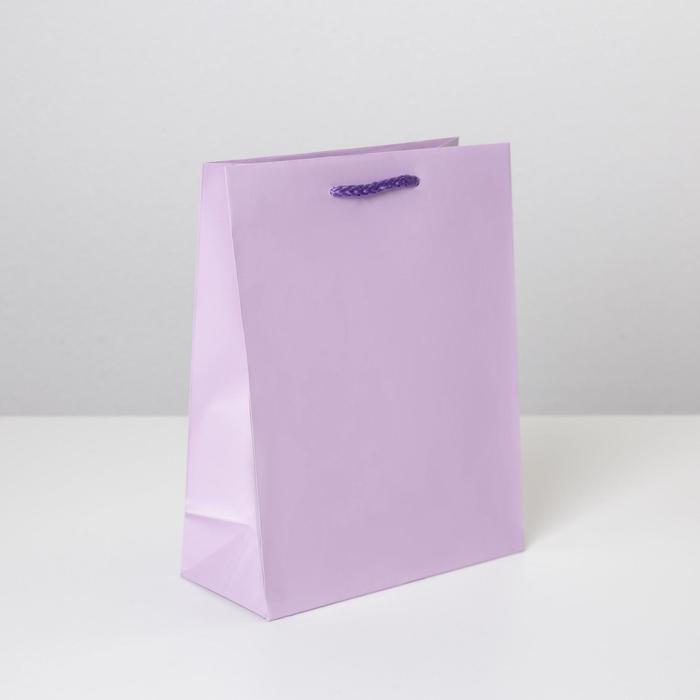 

Пакет ламинированный «Сиреневый», MS 18 х 23 х 8 см, Фиолетовый, Коллекция упаковки Дарите Счастье BASIC
