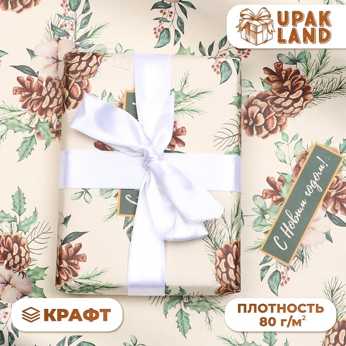 

Бумага упаковочная крафт "Шишки",1 лист , 70 х 100 см, Разноцветный