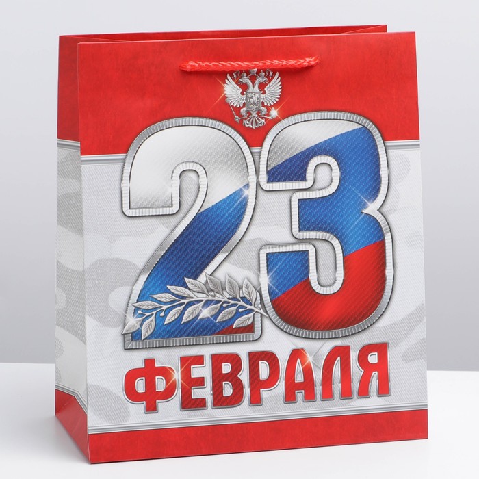 

Пакет ламинированный вертикальный «23 февраля!», ML 23 × 27 × 11,5 см, Подарочная упаковка 23 февраля